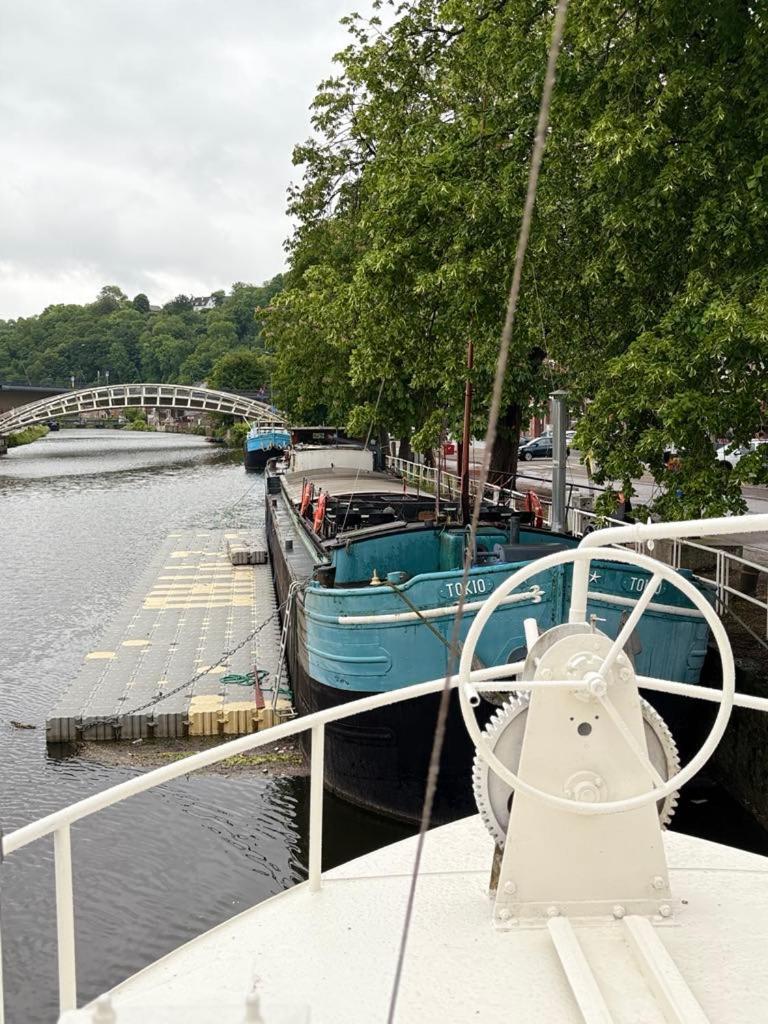 Gite Le Sambre Thuin Exterior photo